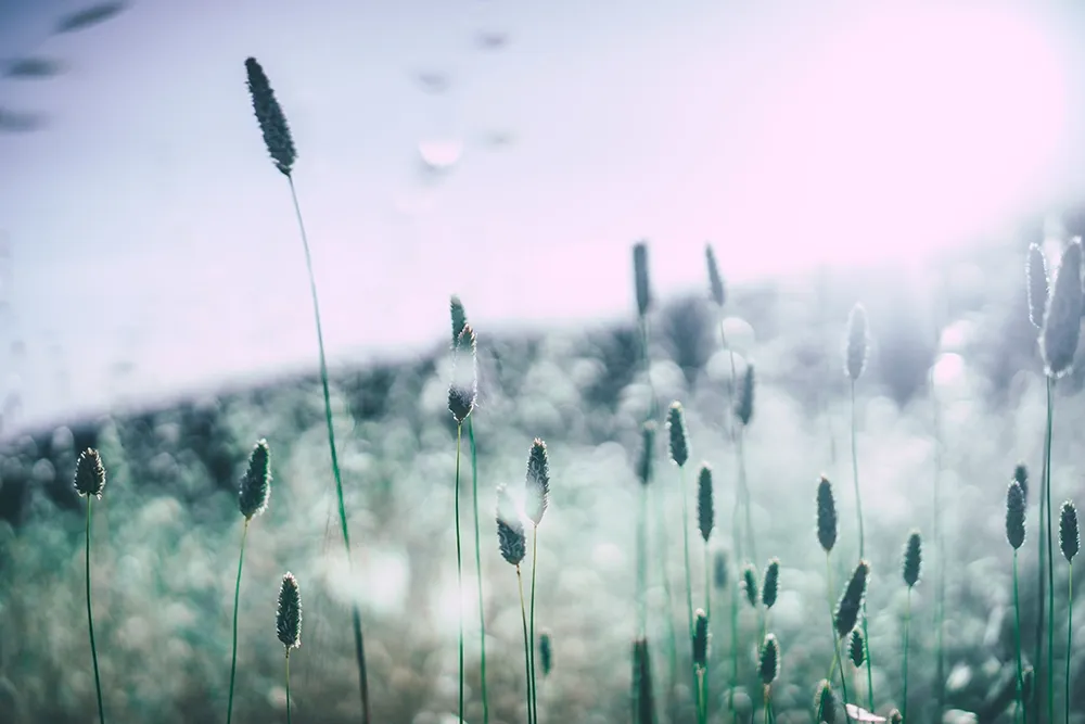 Paysage_bleu